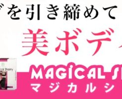 マジカルシェリーの販売店